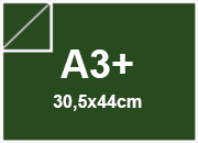 carta: BRA1164a3+