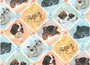 carta Carta Regalo CaniGatti, A4, 65gr Carta patinata da 65gr/mq. Formato: 100x70cm.