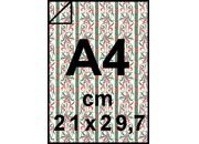 carta: bra118