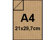 carta: bra1246