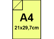 carta: bra1279