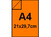 carta: bra1282