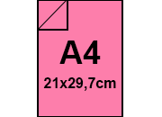 carta: bra1291