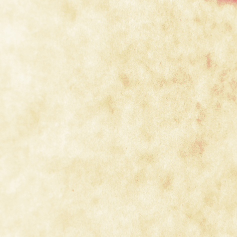 carta Cartoncino MarinaPergamenata, Conchiglia, a3tabloid, 175gr formato a3tabloid (27,9x43,2cm), 175grammi x mq.