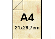 carta Cartoncino MarinaPergamenata, CONCHIGLIA, A4, 240gr BRA573.