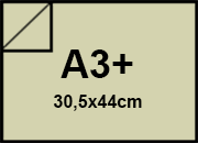 carta: BRA1513a3+