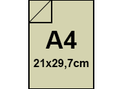 carta: 1513