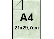 carta: 151