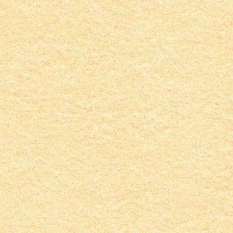 carta Carta MarinaPergamenata, Sabbia, a3l, 90gr Formato a3l (29,7x50cm), 90grammi x mq.