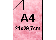 carta: 154
