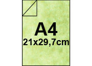 carta: 155