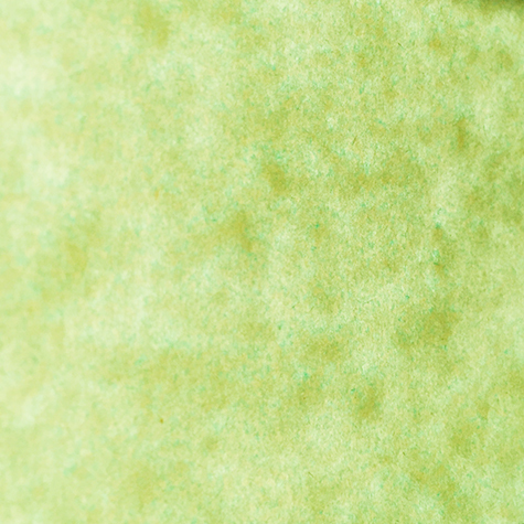 carta Carta MarinaPergamenata, Alga, a3l, 90gr Formato a3l (29,7x50cm), 90grammi x mq.