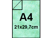 carta: bra156
