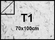 carta: bra161t1