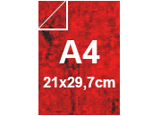 carta: bra316