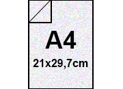 carta: bra1774