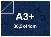 carta: bra319a3+