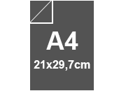 Cartoncino Favini, The Tube 1S, 120 g/m², A4, GRAPHITE bra1785