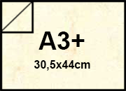carta: bra253a3+