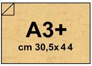 carta: bra254a3+