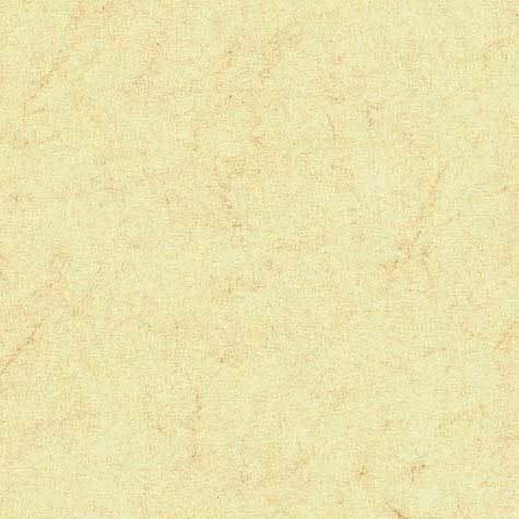 carta Cartoncino PelleElefante, VERDEacqua, A4, 110gr Formato A4 (21x29,7cm), 110grammi x mq.