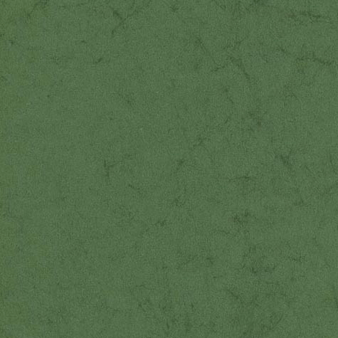 legatoria Cartoncino Pelle Elefante Zanders Verde Scuro, formato A3 (29,7x42cm), 110grammi x mq.