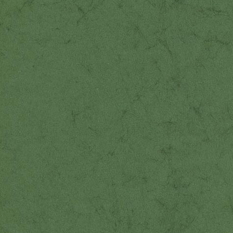 carta Cartoncino PelleElefante, VERDEscuro, t2, 110gr Formato t2 (50x70cm), 110grammi x mq.