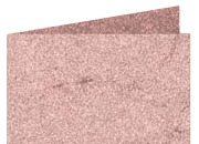 legatoria Cartoncino Pelle Elefante Zanders BRA191a3.