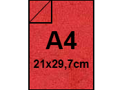 carta: bra192