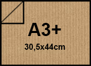 carta: bra204a3+