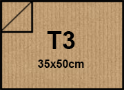 carta: bra204t3
