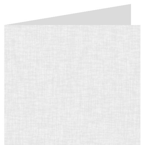 legatoria Risguardo in Simil Lino F per legatoria BIANCO NATURALE per rilegatura, cartonaggio, formato A3 (29,7X42cm), 125 grammi x mq. Bianco leggermente avoriato.