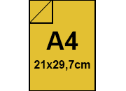 carta: bra213