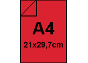 carta: bra215