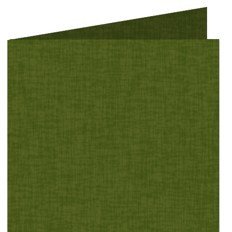 legatoria: bra218A3