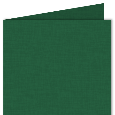 legatoria: bra219A3