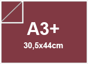 carta: bra225a3+