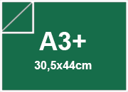 carta: bra227a3+