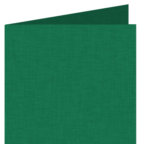 legatoria Risguardo in Simil Lino Z per legatoria, 123 VERDE ERBA per rilegatura, cartonaggio, formato A3 (29,7x42cm), 125 grammi x mq.