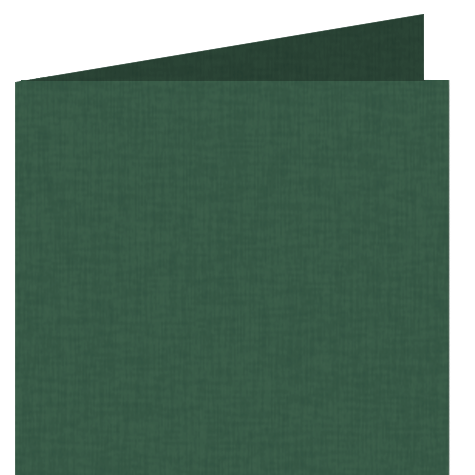 legatoria: bra228A3