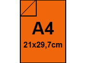 carta: bra232