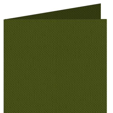 legatoria Risguardo in Simil Tela F per legatoria, VERDE OLIVA per rilegatura, cartonaggio, formato a3 (29,7x42cm), 125 grammi x mq.