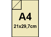 carta: bra235