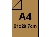 carta: bra238