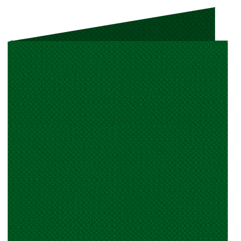 legatoria Risguardo in Simil Tela Z per legatoria, 123 VERDE ERBA per rilegatura, cartonaggio, formato a3 (29,7x42cm), 125 grammi x mq.