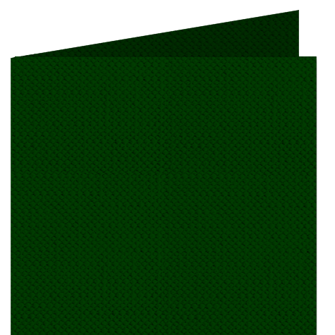 legatoria Risguardo in Simil Tela Z per legatoria, 120 VERDE SCURO per rilegatura, cartonaggio, formato a3 (29,7x42cm), 125 grammi x mq.