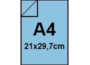 carta: bra247