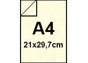 carta: bra274