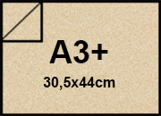 carta: bra278a3+