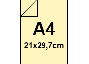 carta: 3003